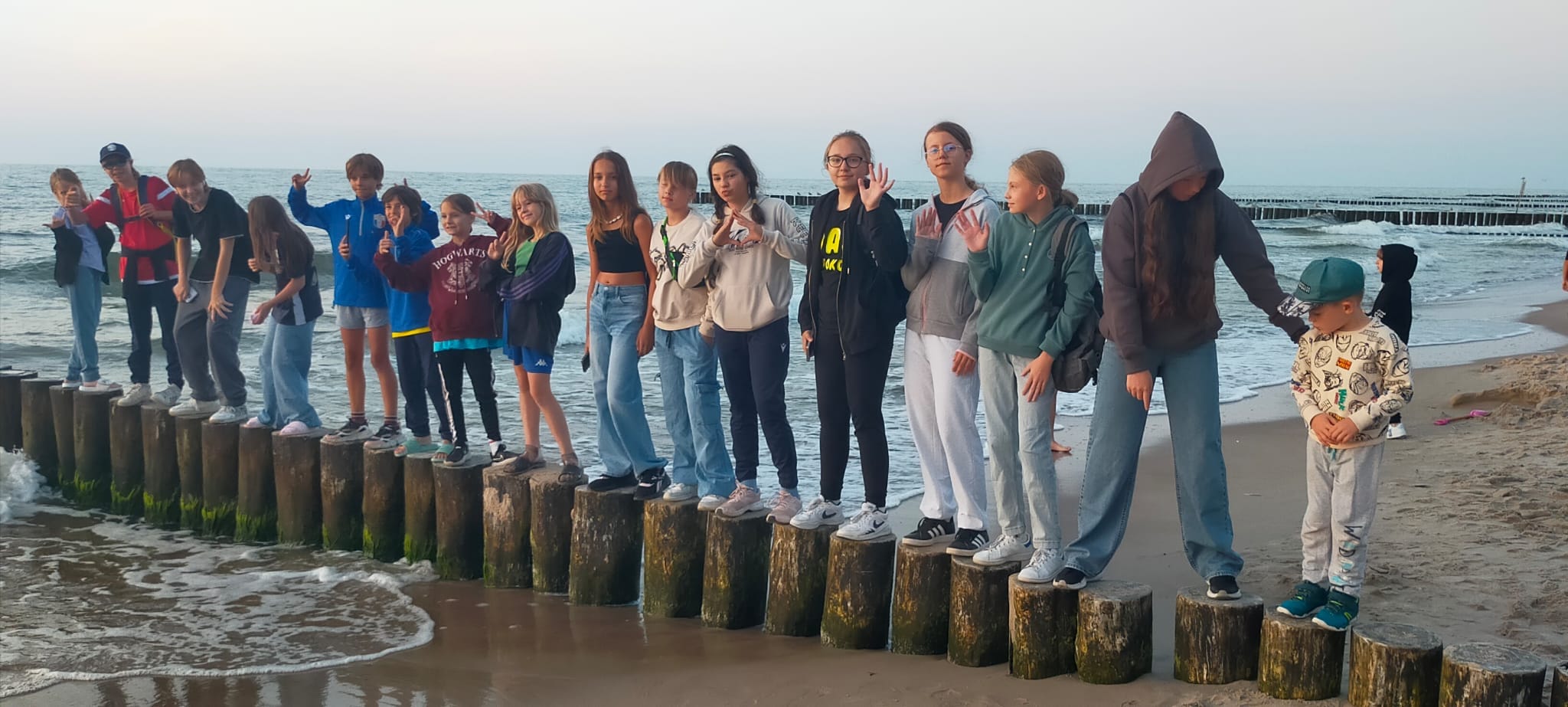 Camp Olympique - Terrain